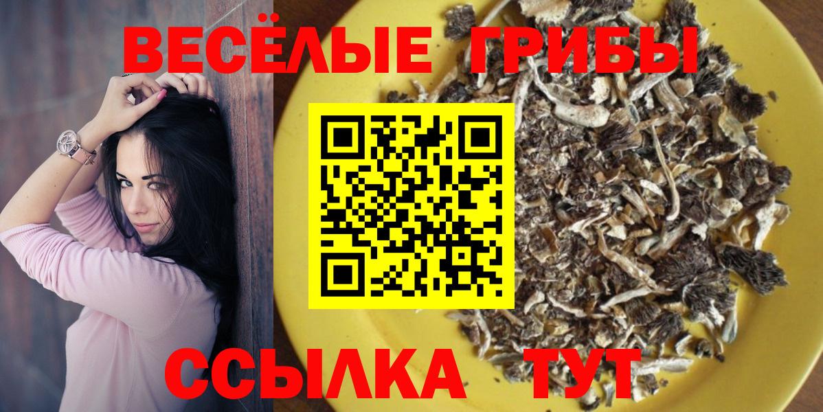 Бирск  Псилоцибиновые грибы мицелий  как найти наркотики  Галлюциногенные грибы ЛСД  Вход с VPN 