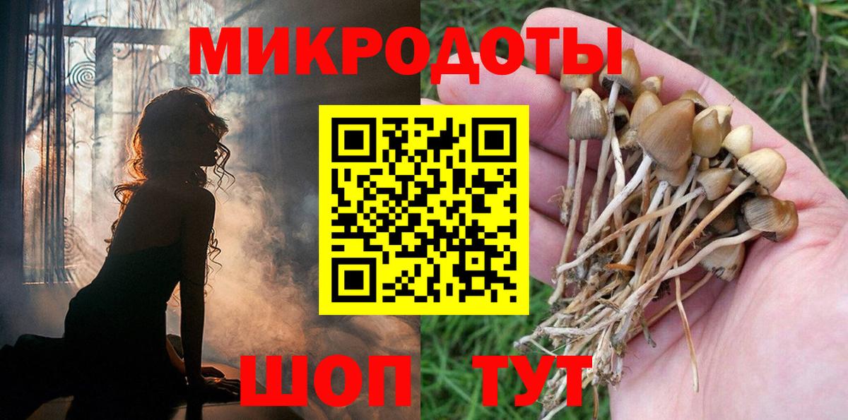 Псилоцибиновые грибы Magic Shrooms Бирск